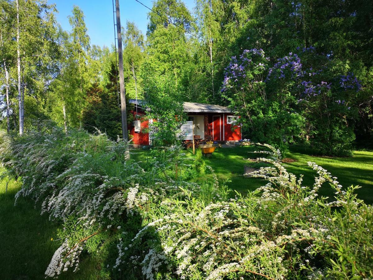 Koivuniemi Cottage Säkylä Εξωτερικό φωτογραφία