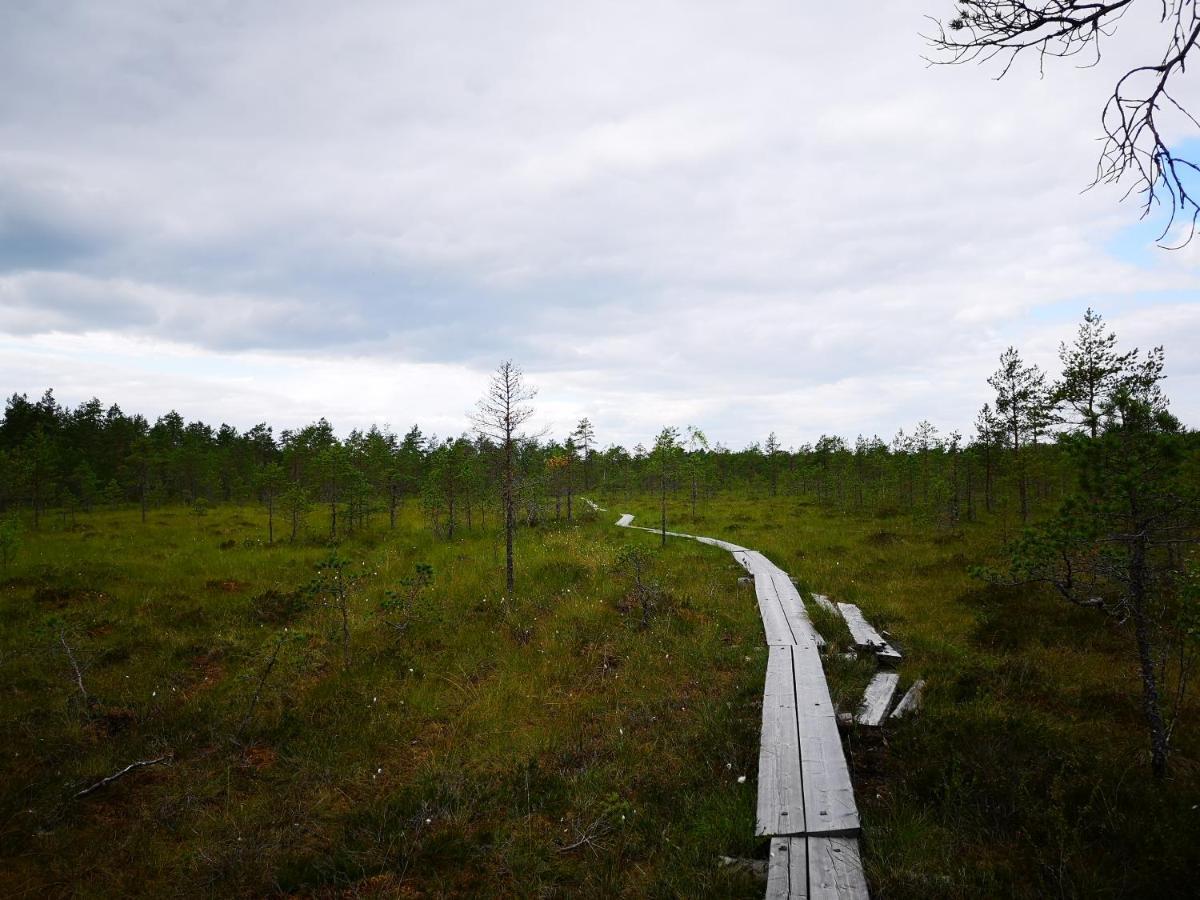 Koivuniemi Cottage Säkylä Εξωτερικό φωτογραφία